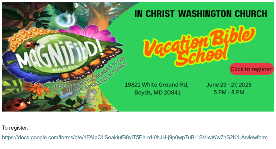2025 VBS - Magnified w link.png